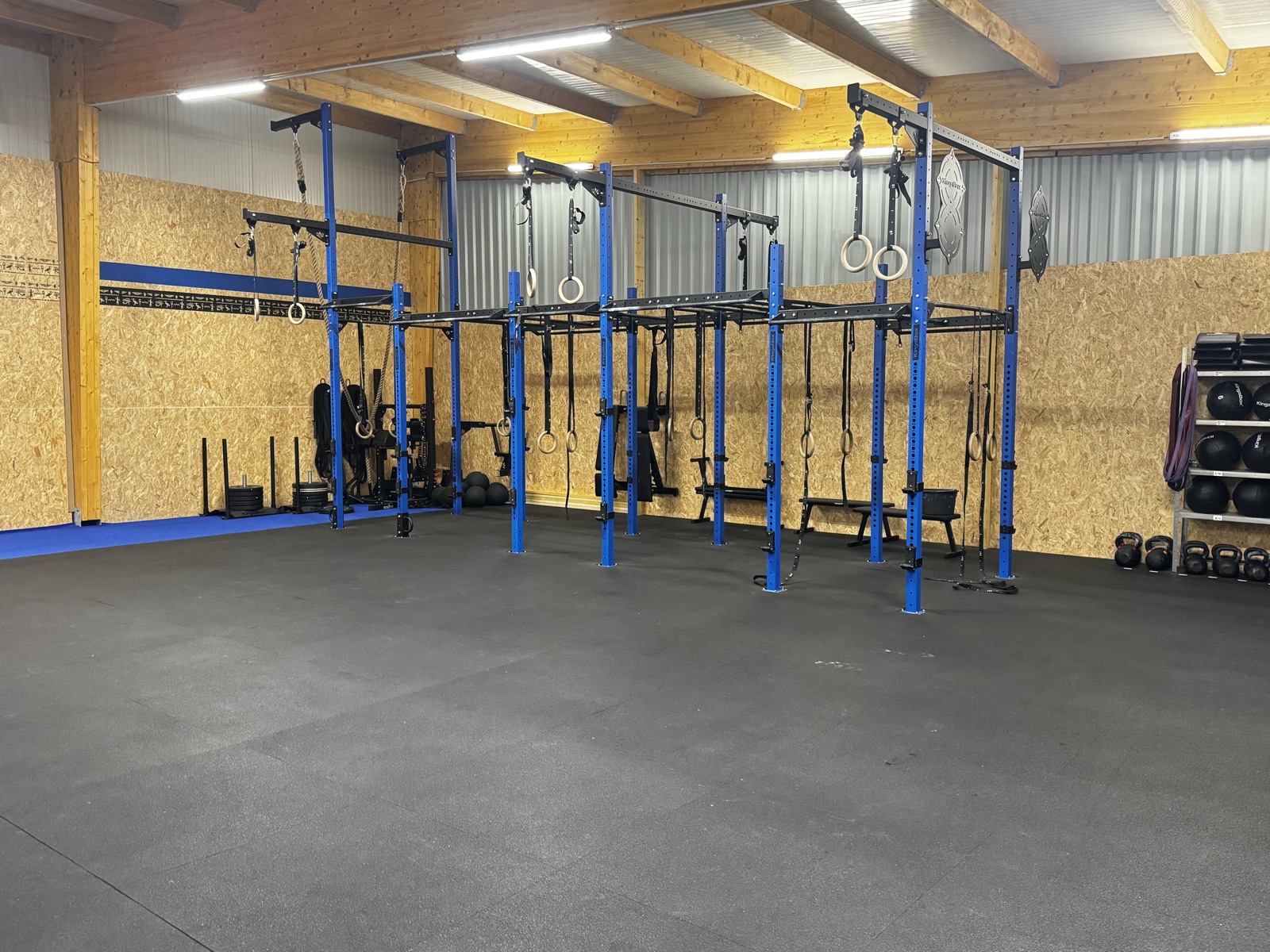 Le rig bleu vu de face, avec ses anneaux, ses barres de traction et ses sangles.