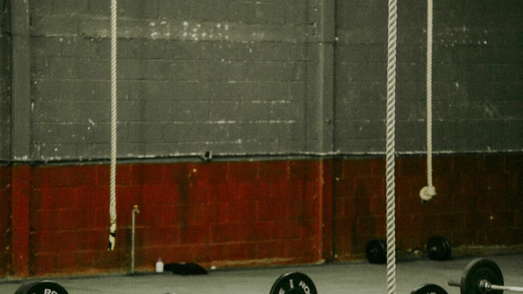 Salle de CrossFit avec barres et rameurs — CrossFit Hormesis, guide du débutant
