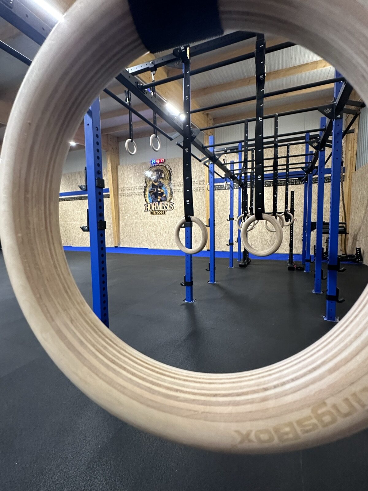 Les anneaux de gymnastique et le rig de la box CrossFit Hormesis